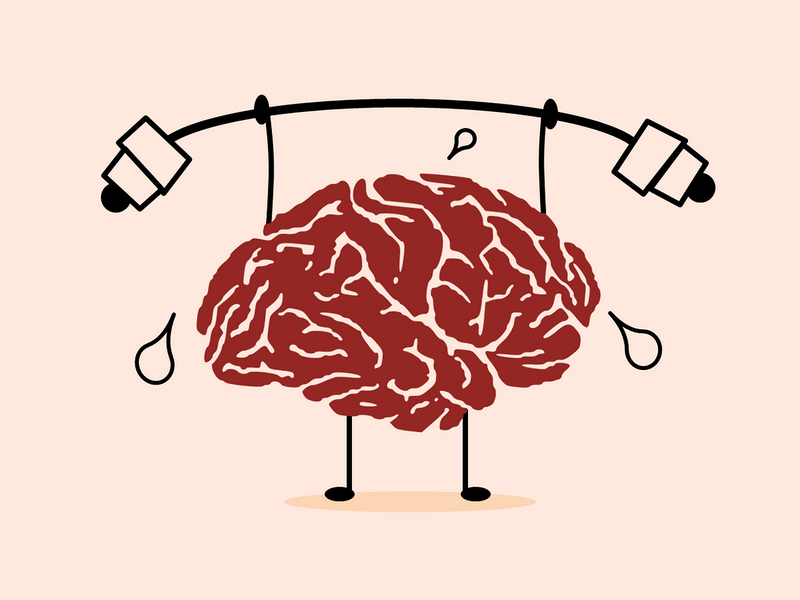 How the food you eat affects your brain